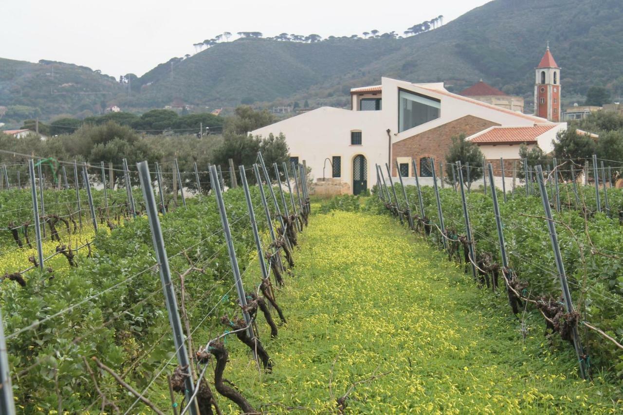 Tenuta Rasocolmo 墨西拿 外观 照片